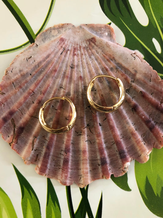 Gold Filled Huggie Hoops