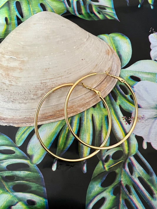 Thin Gold Filled Hoops