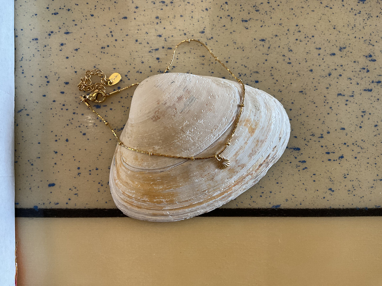 Gold Seashell Charm Anklet
